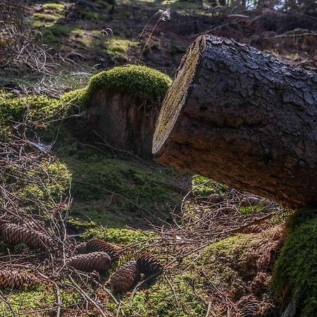Maerchenhafte Fewo White Auf Dem Berg Im Sauerland Werdohl Buitenkant foto