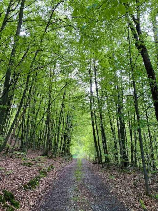 Maerchenhafte Fewo White Auf Dem Berg Im Sauerland Werdohl Buitenkant foto
