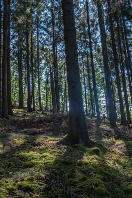 Maerchenhafte Fewo White Auf Dem Berg Im Sauerland Werdohl Buitenkant foto