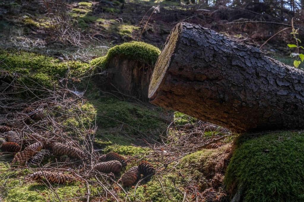 Maerchenhafte Fewo White Auf Dem Berg Im Sauerland Werdohl Buitenkant foto